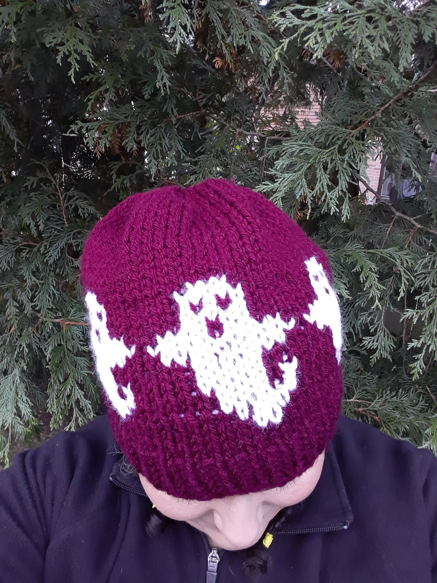 Burgundy Ghosts Hat
