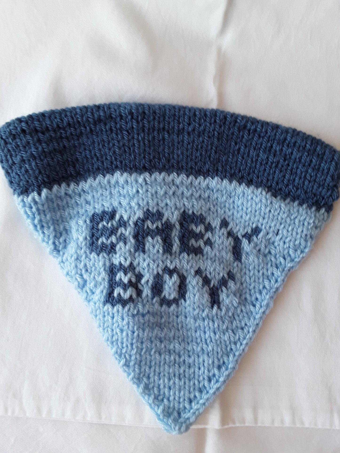 "Baby Boy" Doggie Bandana