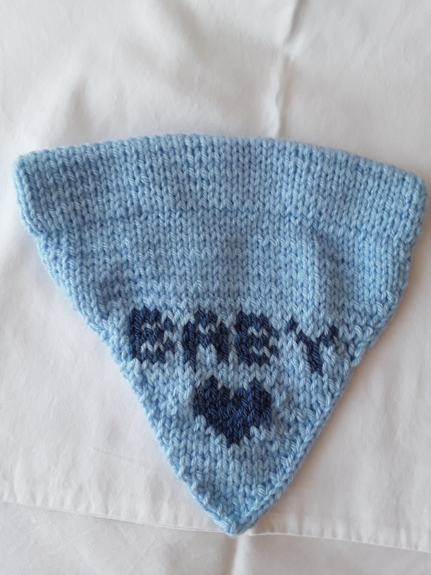 "Baby" Doggie Bandana