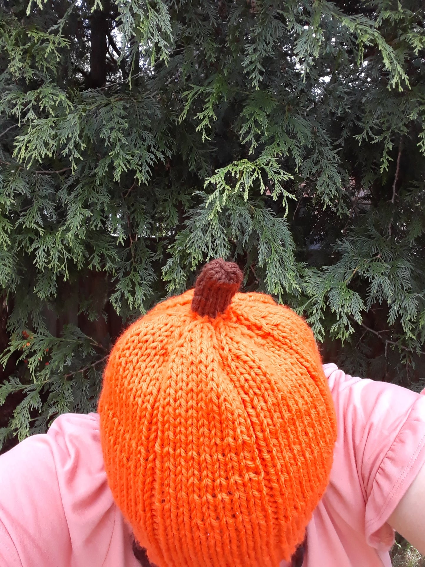 Pumpkin Hat