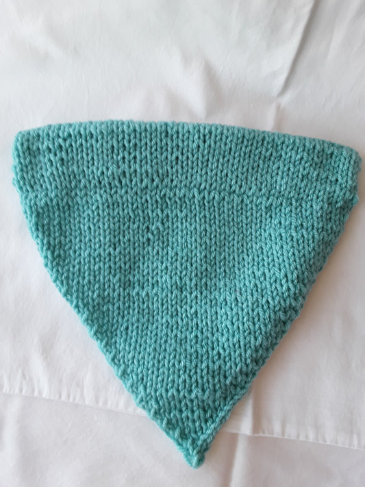 XL Teal Doggie Bandana